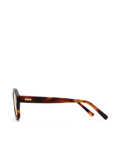 Sunglasses with tortoiseshell frame on a white background